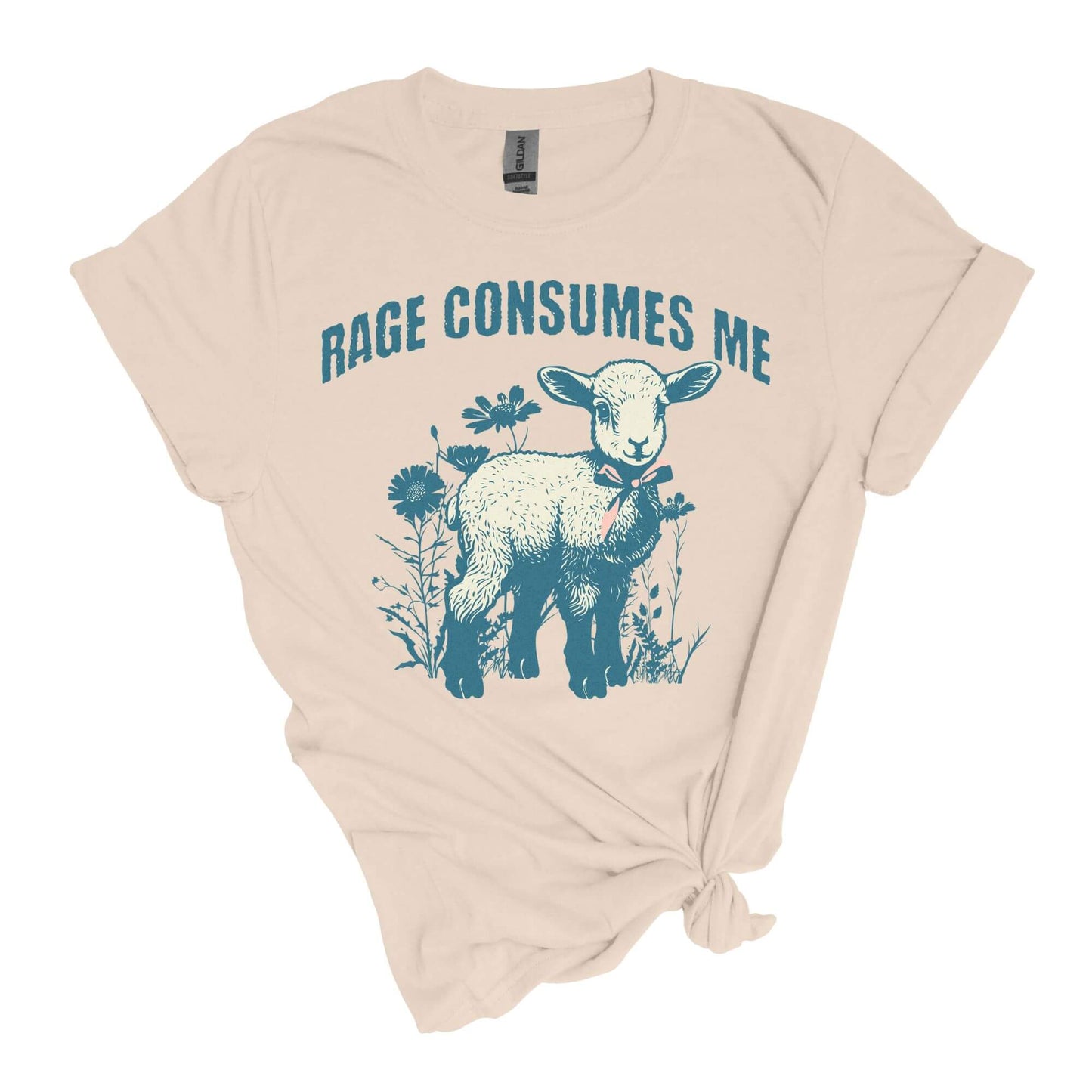 Rage Consumes Me T-Shirt